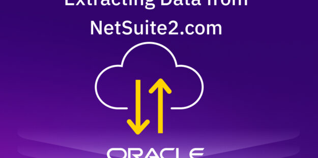 NetSuite2.Com Extract Data